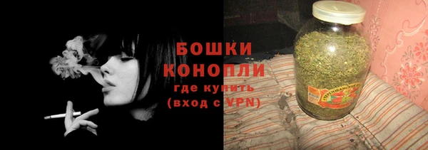 ECSTASY Костерёво