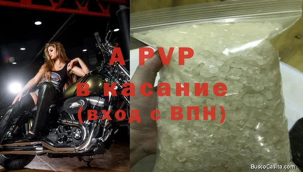 прущий лед Корсаков