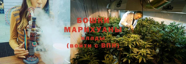ECSTASY Костерёво