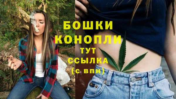 ECSTASY Костерёво