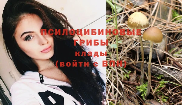 синтетический гашиш Коряжма